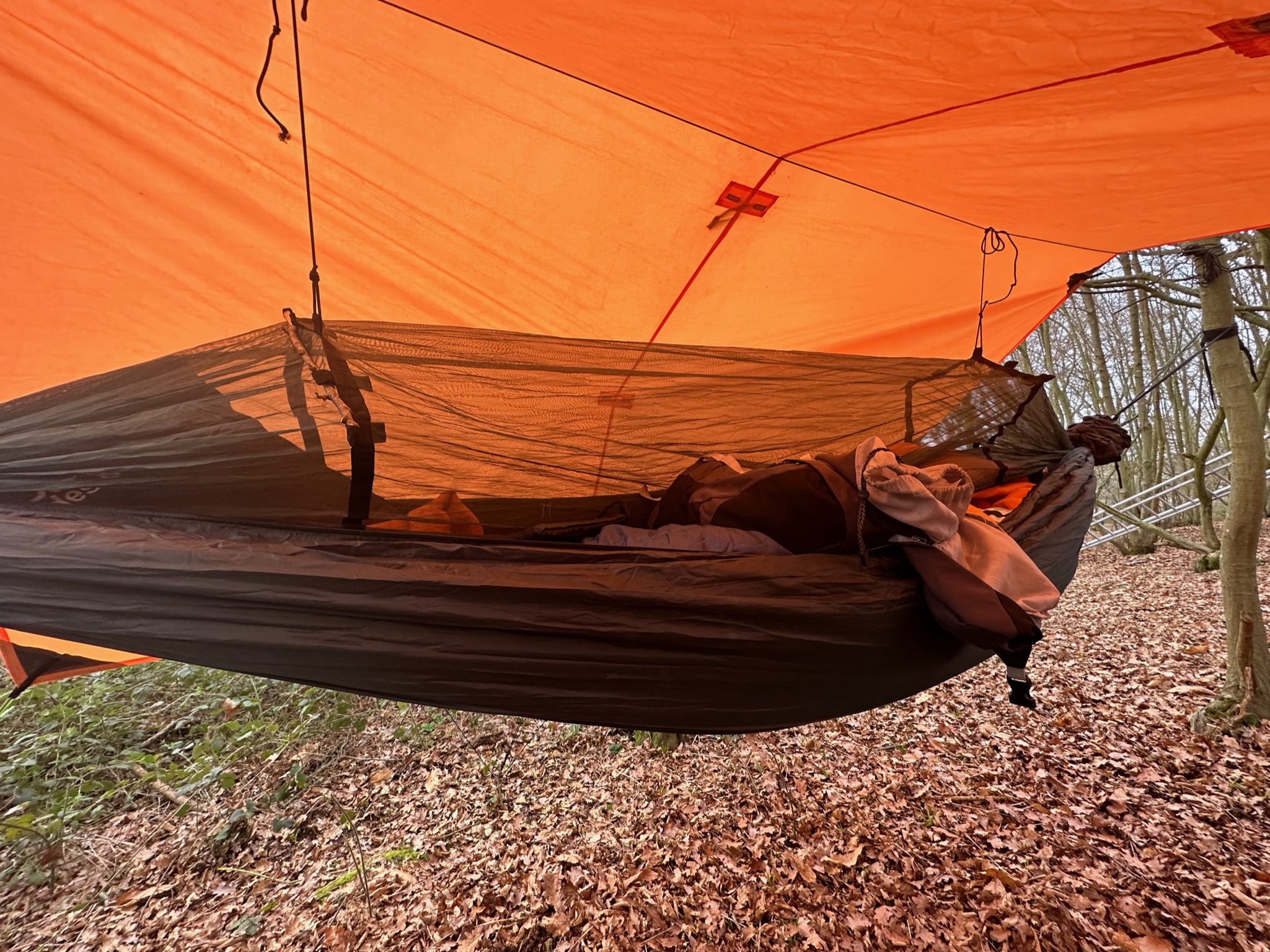 Hammock slung between trees under a tarp