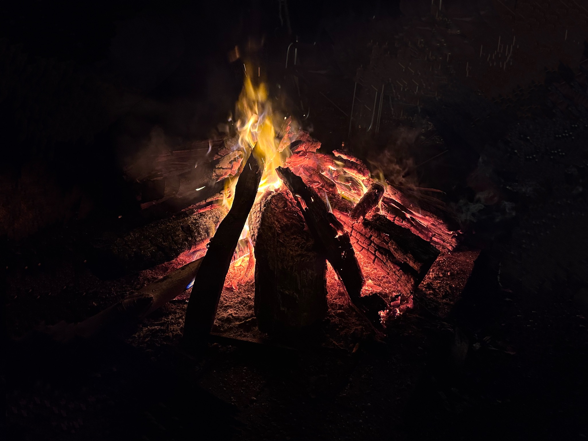 Campfire burning in the woods at night